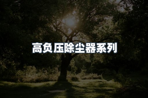高负压除尘器系列